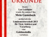 Gold fuer Leo Lanthaler Gold fuer Leo Lanthaler