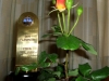 stm-2012-flamingo-fuer-leo-lanthaler stm-2012-flamingo-fuer-leo-lanthaler
